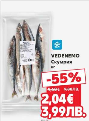 VEDENEMO Скумрия