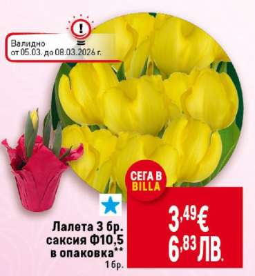 Лалета 3 бр.