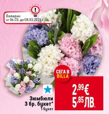 Зюмбюли 3 бр. букет