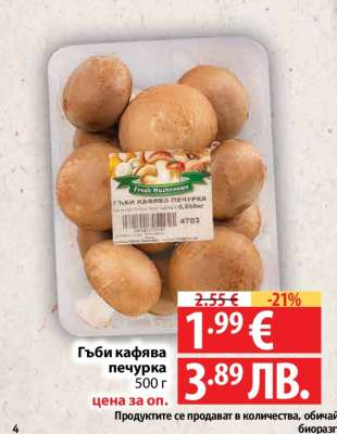 Гъби кафява печурка