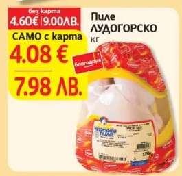 Пиле Лудогорско