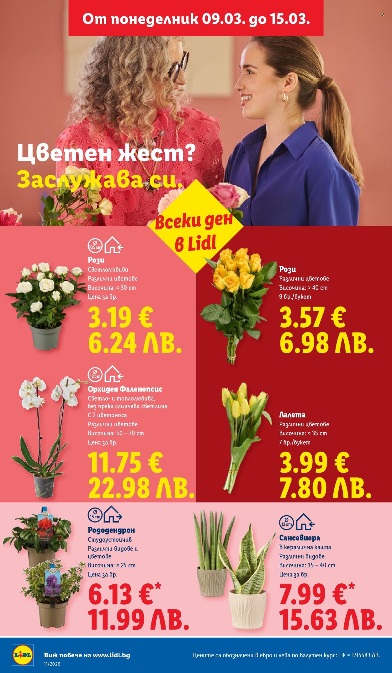 Брошура на Лидл - 09.03.2026 - 15.03.2026. Страница 50