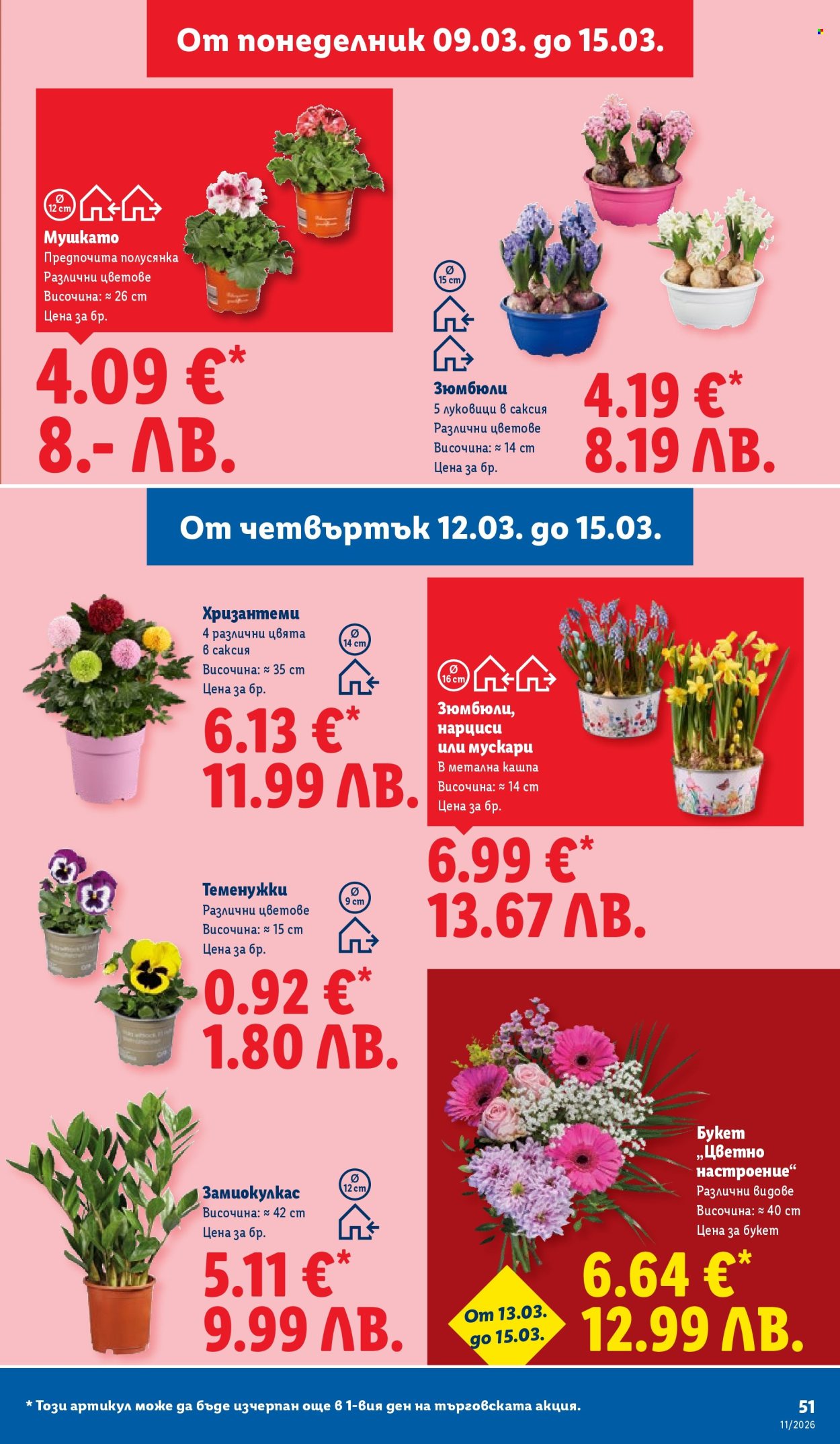 Брошура на Лидл - 09.03.2026 - 15.03.2026. Страница 51