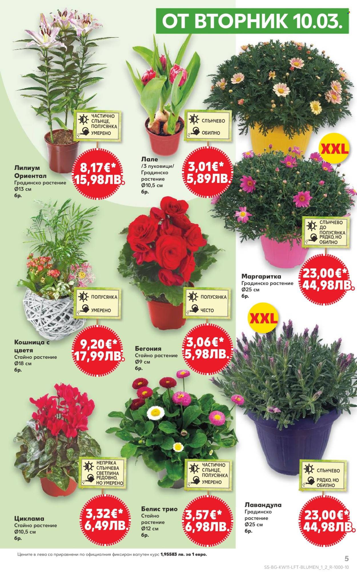 Брошура на Кауфланд - 09.03.2026 - 15.03.2026. Страница 5