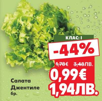 Салата Джентиле