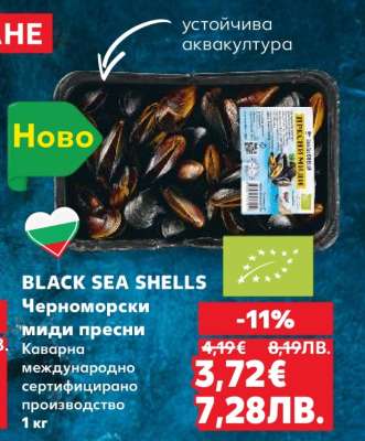 BLACK SEA SHELLS