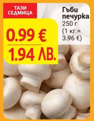 Гъби печурка