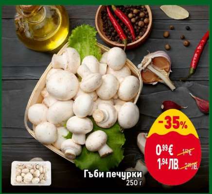 Гъби печурки