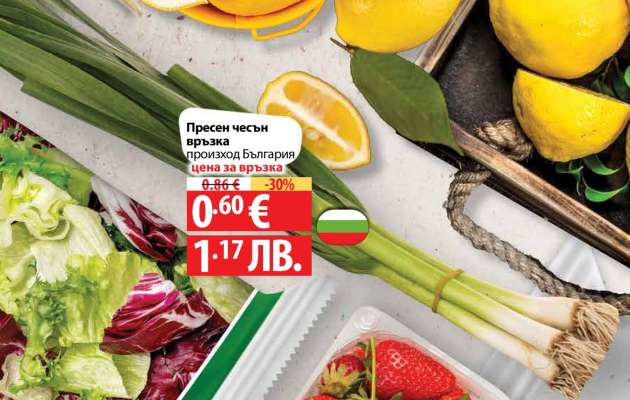 Пресен чесън връзка