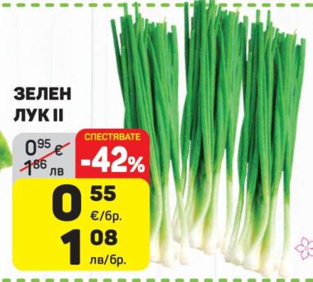 Зелен лук II