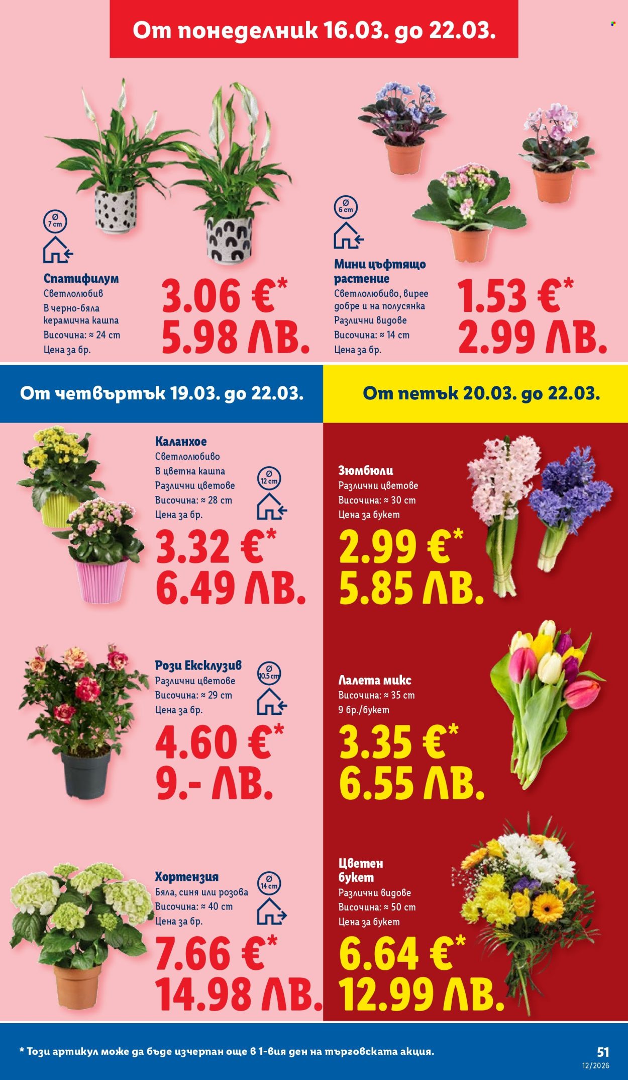 Брошура на Лидл - 16.03.2026 - 22.03.2026. Страница 51