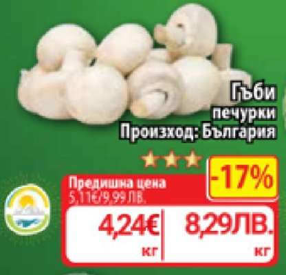 Гъби печурки