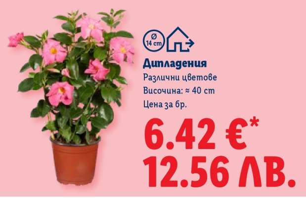 Дипладения