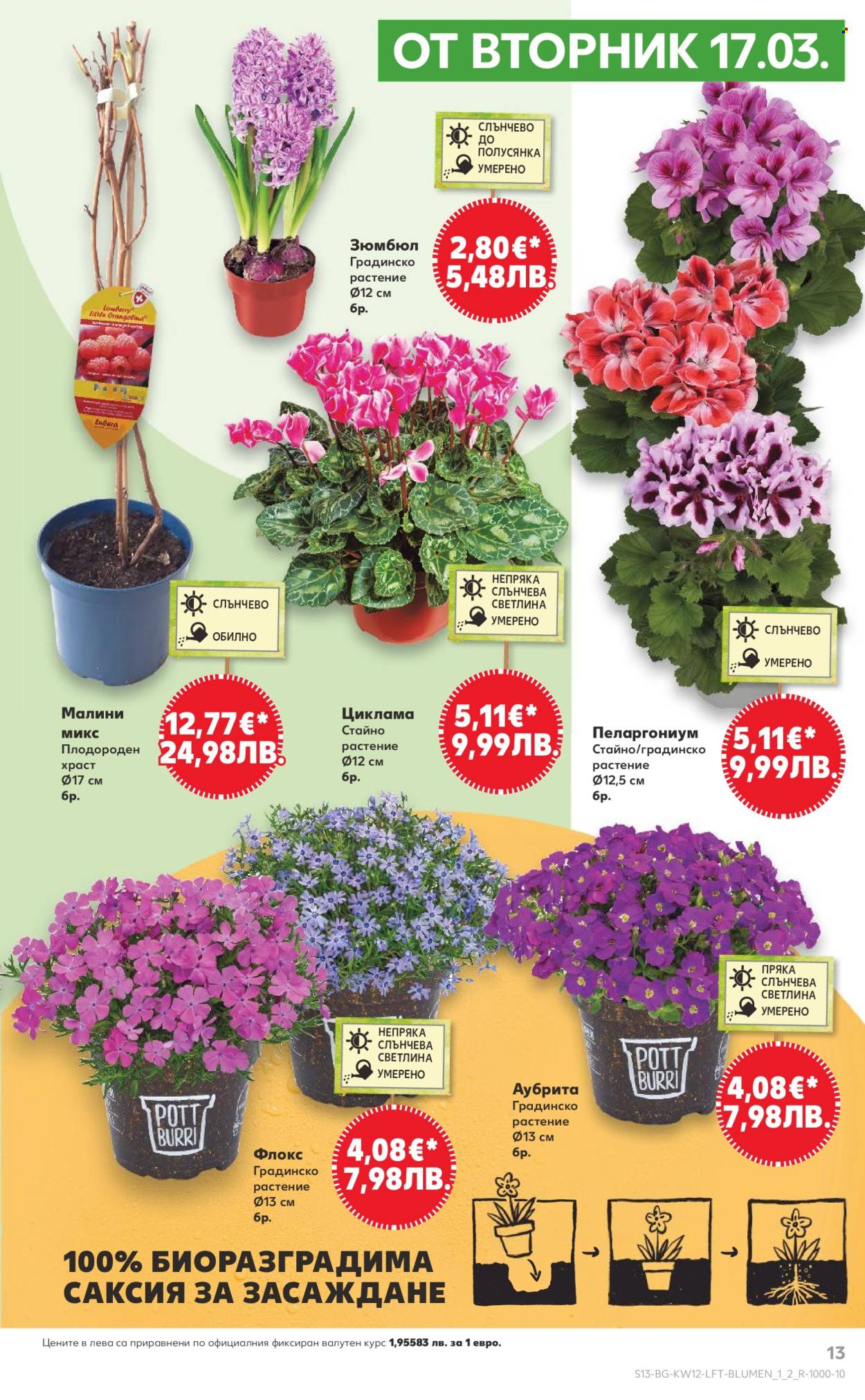 Брошура на Кауфланд - 16.03.2026 - 22.03.2026. Страница 13