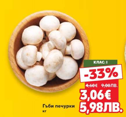 Гъби печурки кг
