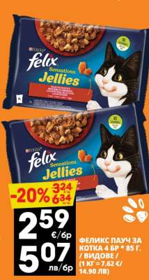 ФЕЛИКС ПАУЧ ЗА КОТКА