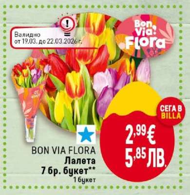 BON VIA FLORA
