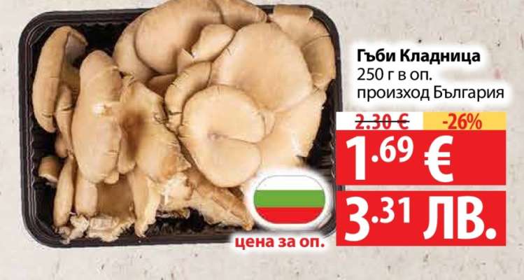 Гъби кладница