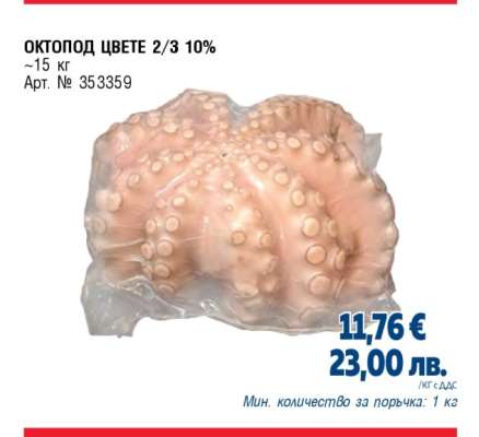 ОКТОПОД ЦВЕТЕ 2/3 10%
