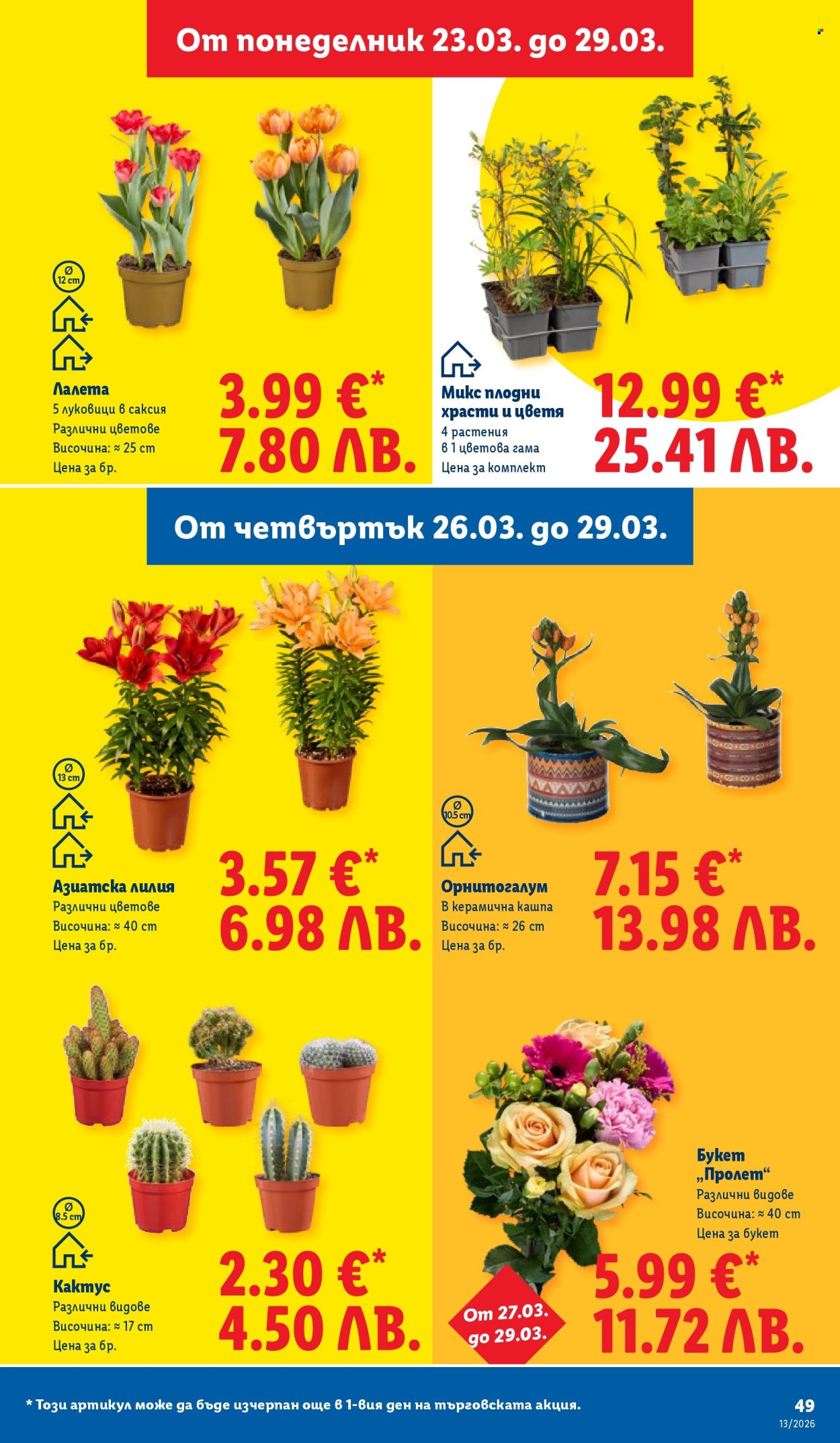 Брошура на Лидл - 23.03.2026 - 29.03.2026. Страница 49