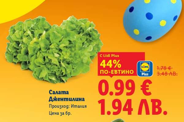 Салата Джентилина