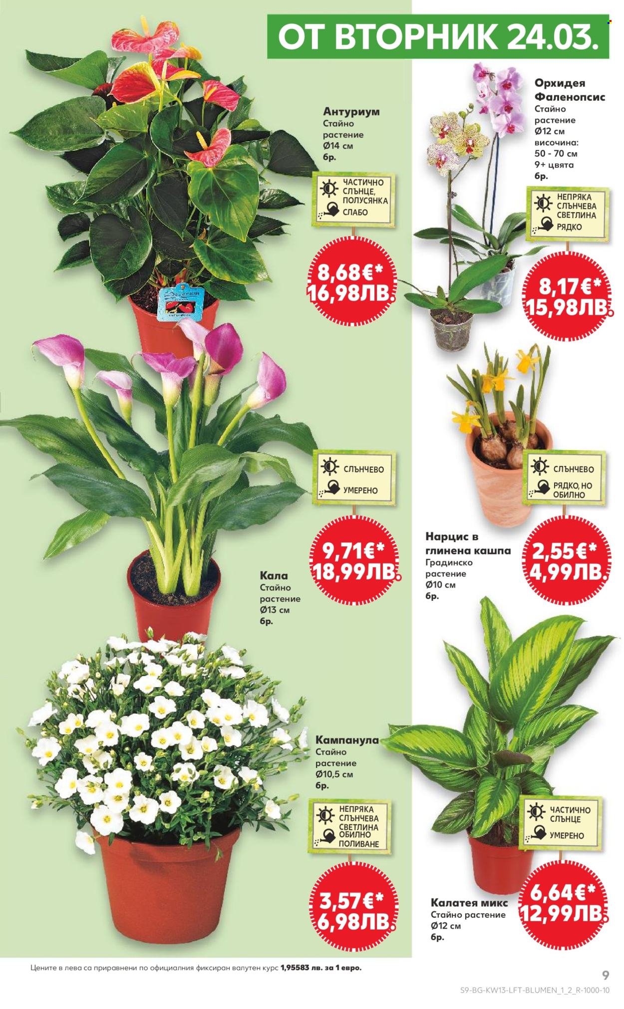 Брошура на Кауфланд - 23.03.2026 - 29.03.2026. Страница 9