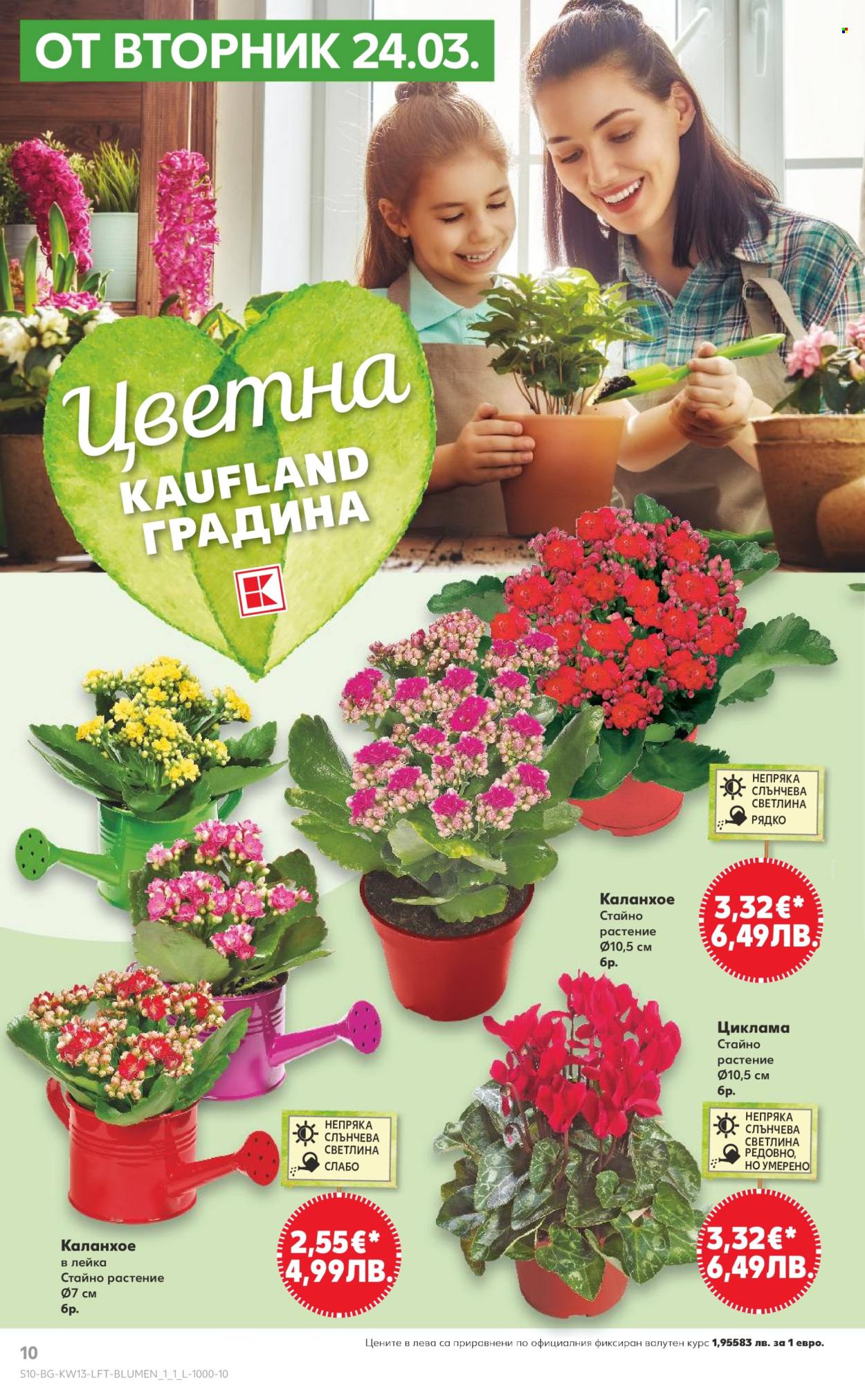 Брошура на Кауфланд - 23.03.2026 - 29.03.2026. Страница 10