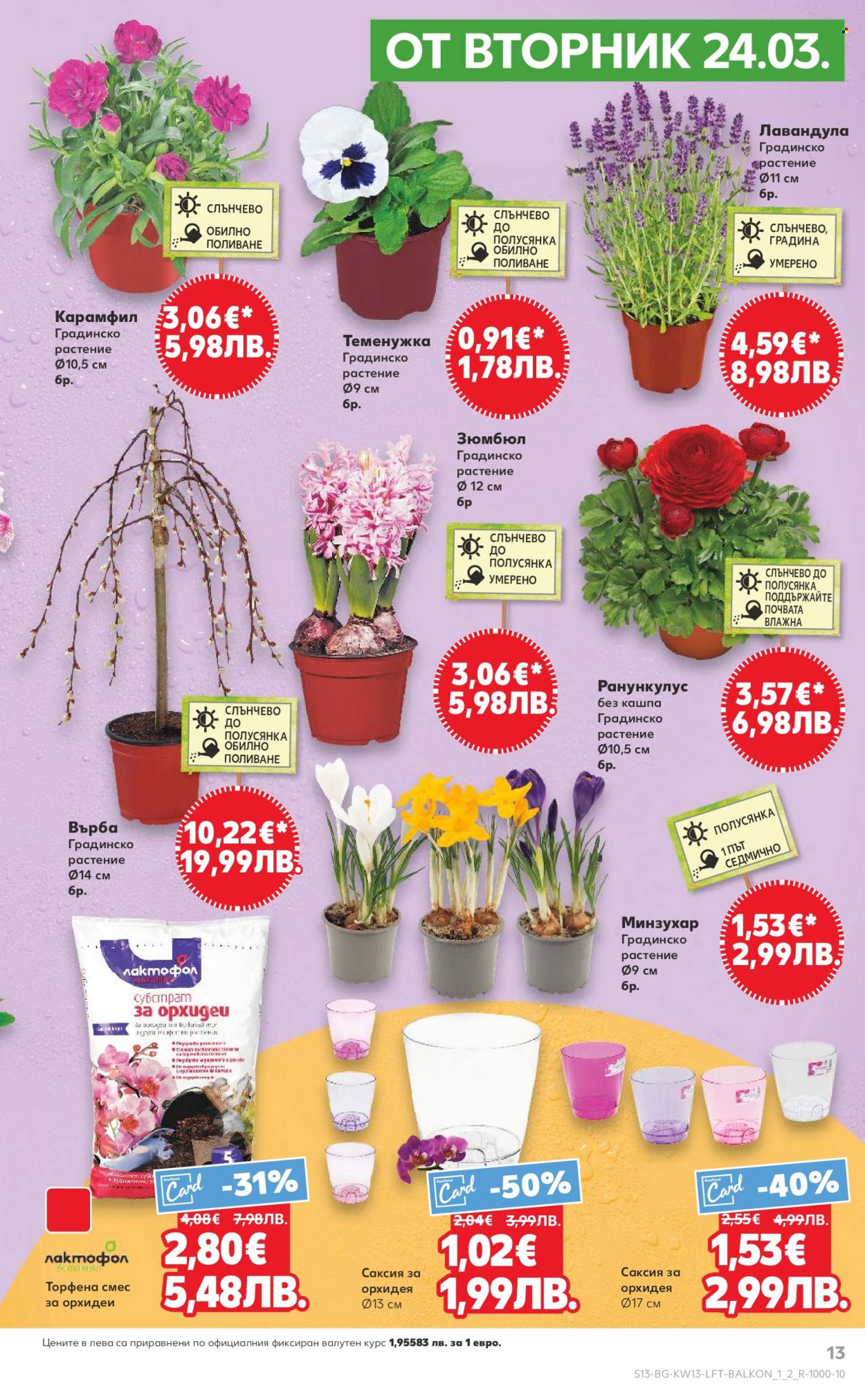 Брошура на Кауфланд - 23.03.2026 - 29.03.2026. Страница 13