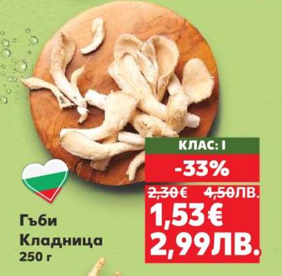 Гъби кладница