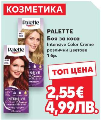 PALETTE Боя за коса