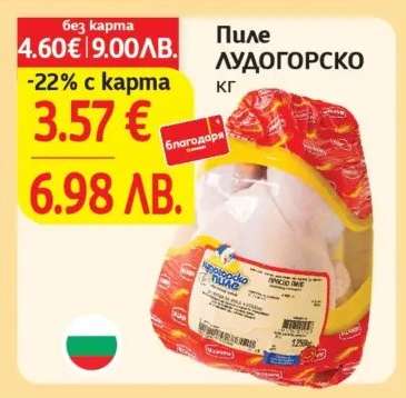 Пиле Лудогорско