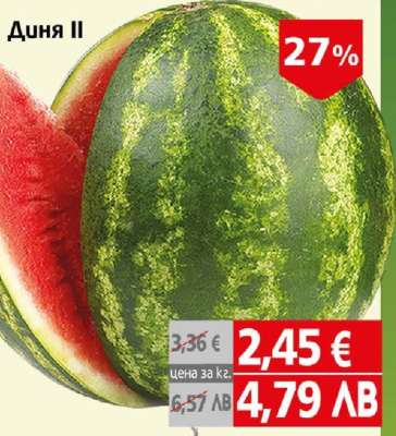 Диня II