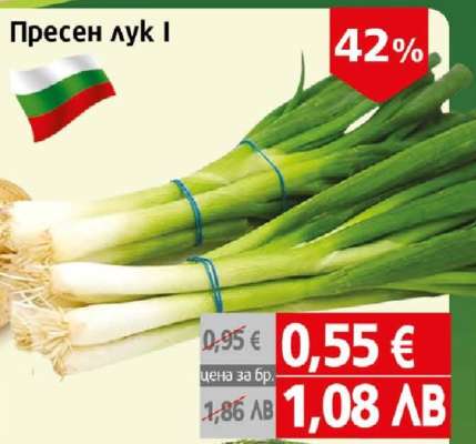 Пресен лук I