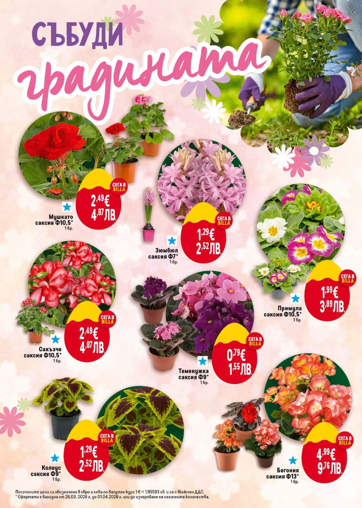 Брошура на BILLA - 26.03.2026 - 01.04.2026. Страница 48