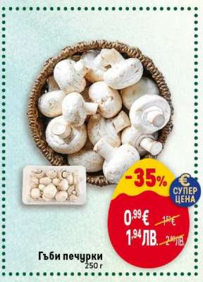 Гъби печурки