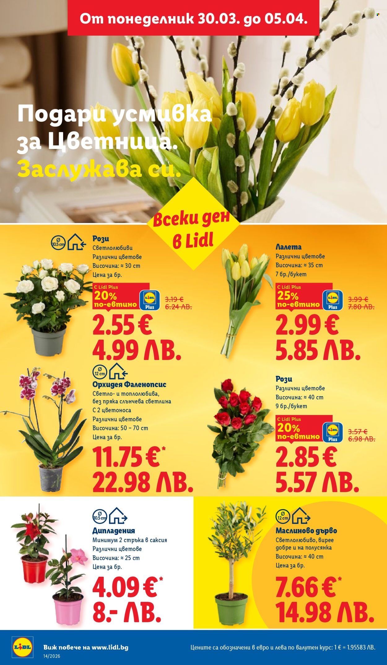 Брошура на Лидл - 30.03.2026 - 05.04.2026. Страница 52