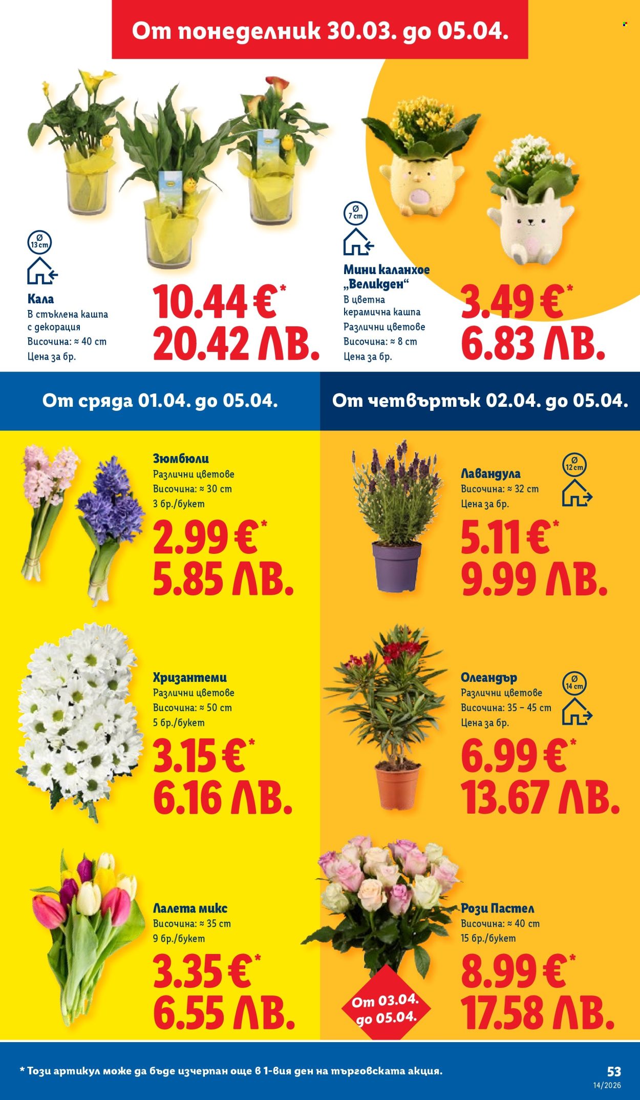 Брошура на Лидл - 30.03.2026 - 05.04.2026. Страница 53