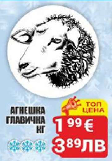 АГНЕШКА ГЛАВИЧКА