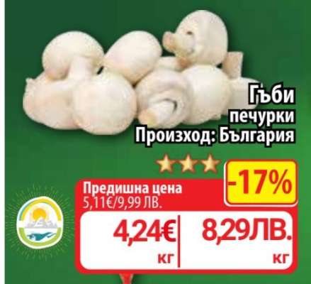 Гъби печурки