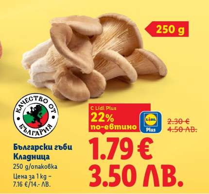 Български гъби кладница