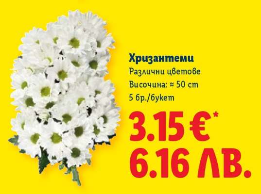 Хризантеми