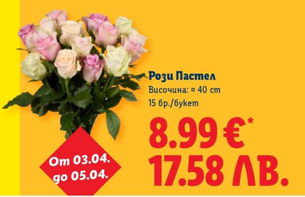 Рози Пастел