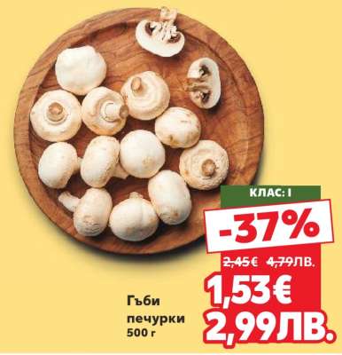 Гъби печурки