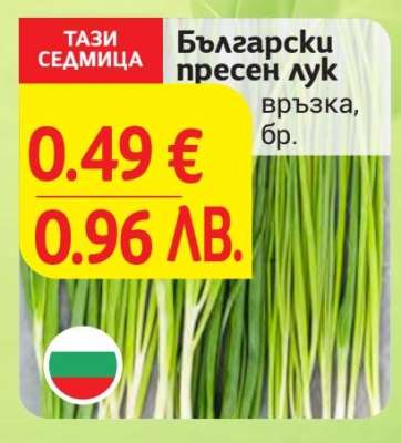 Български пресен лук