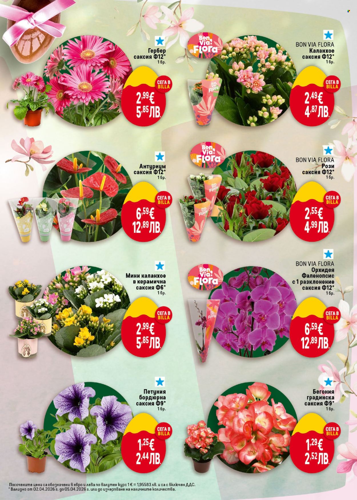 Брошура на BILLA - 02.04.2026 - 08.04.2026. Страница 5