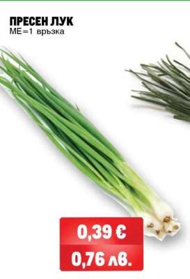 Пресен лук