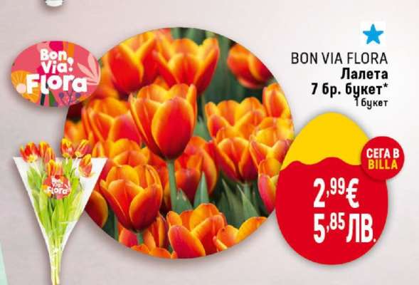 BON VIA FLORA Лалета