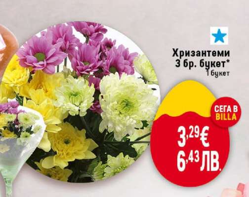 Хризантеми