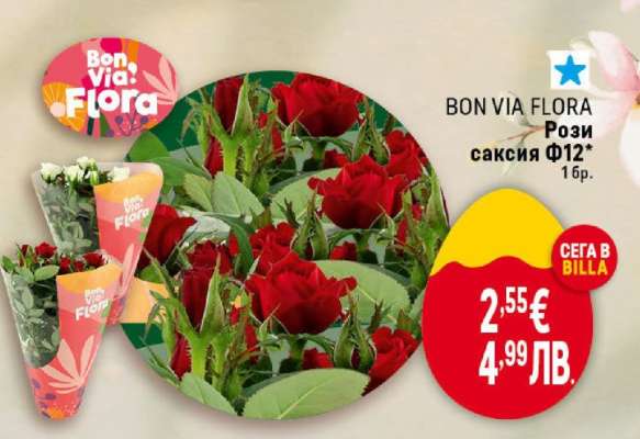 BON VIA FLORA Рози саксия Ф12**