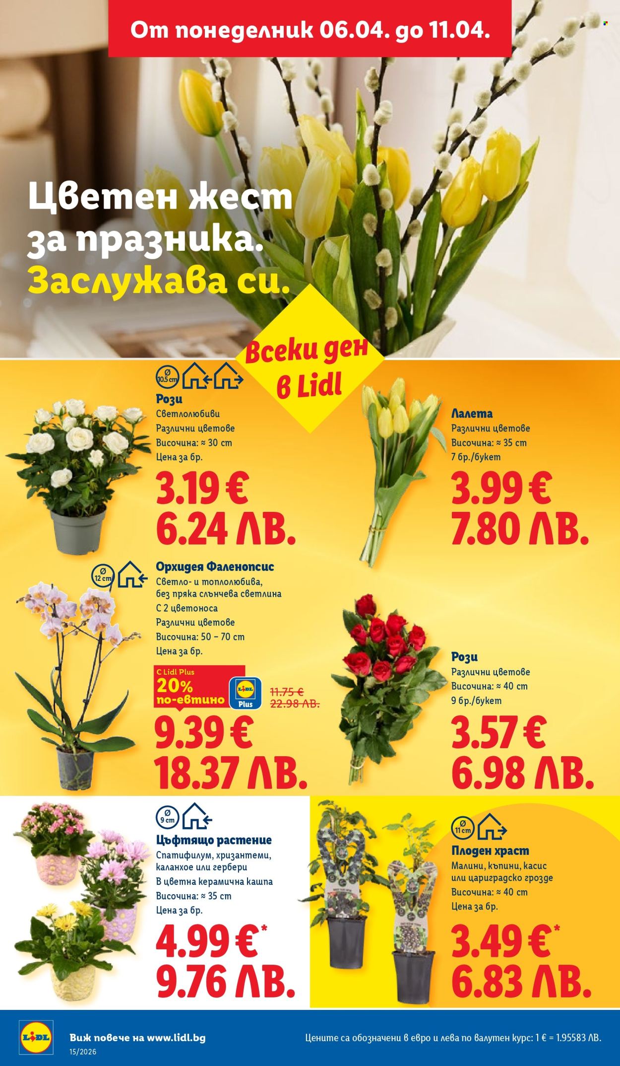 Брошура на Лидл - 06.04.2026 - 11.04.2026. Страница 50